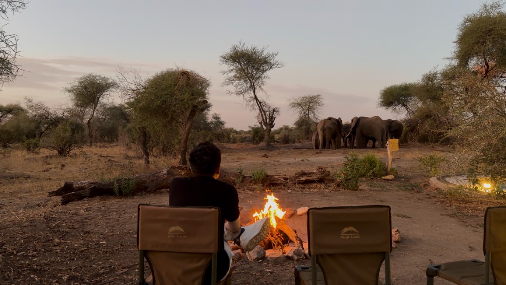 營地日落時分的篝火與大象